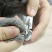 Кусачки-когтерез для Животных с Ограничителем Clefers Pet 546 Клиперы Ножницы для Когтей (5001901)