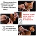 Нашийник проти Блох для Кота Clefers Collar38см - від Блох і Кліщів, 8 місяців дії, Гіпоалергенний (50210821ZB)